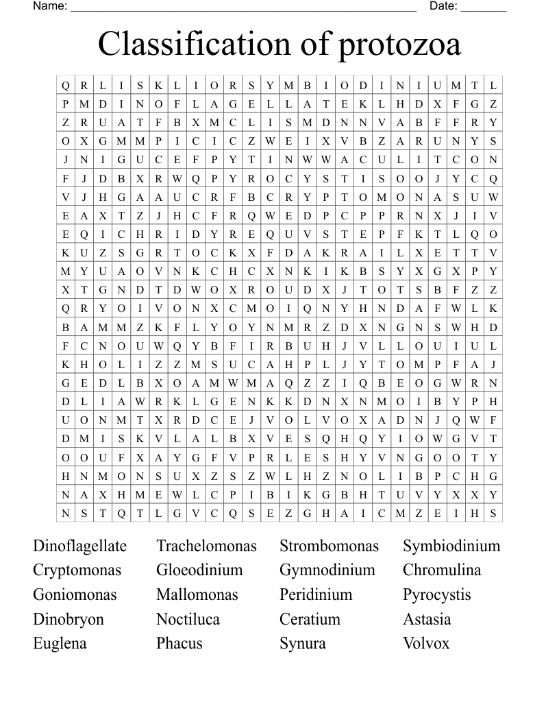 Classification of protozoa Word Search WordMint