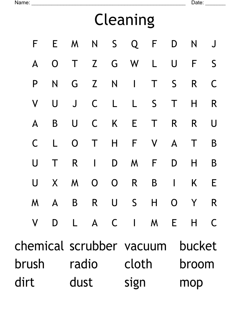 Cleaning Word Search WordMint