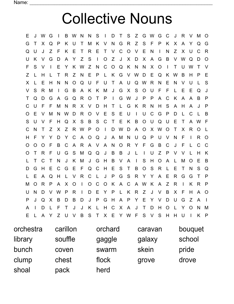 Collective Nouns Word Search WordMint