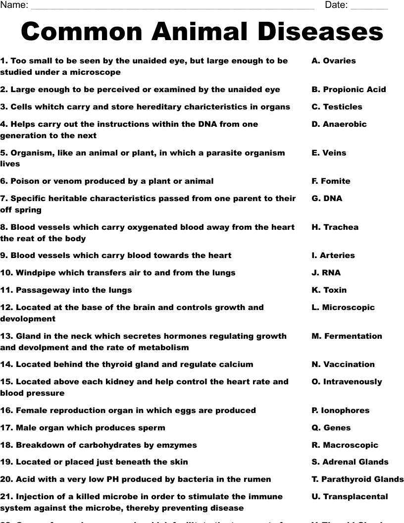 Common Animal Diseases Worksheet WordMint