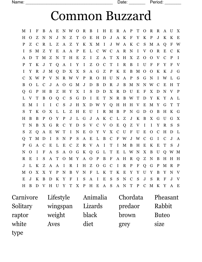 Common Buzzard Word Search WordMint