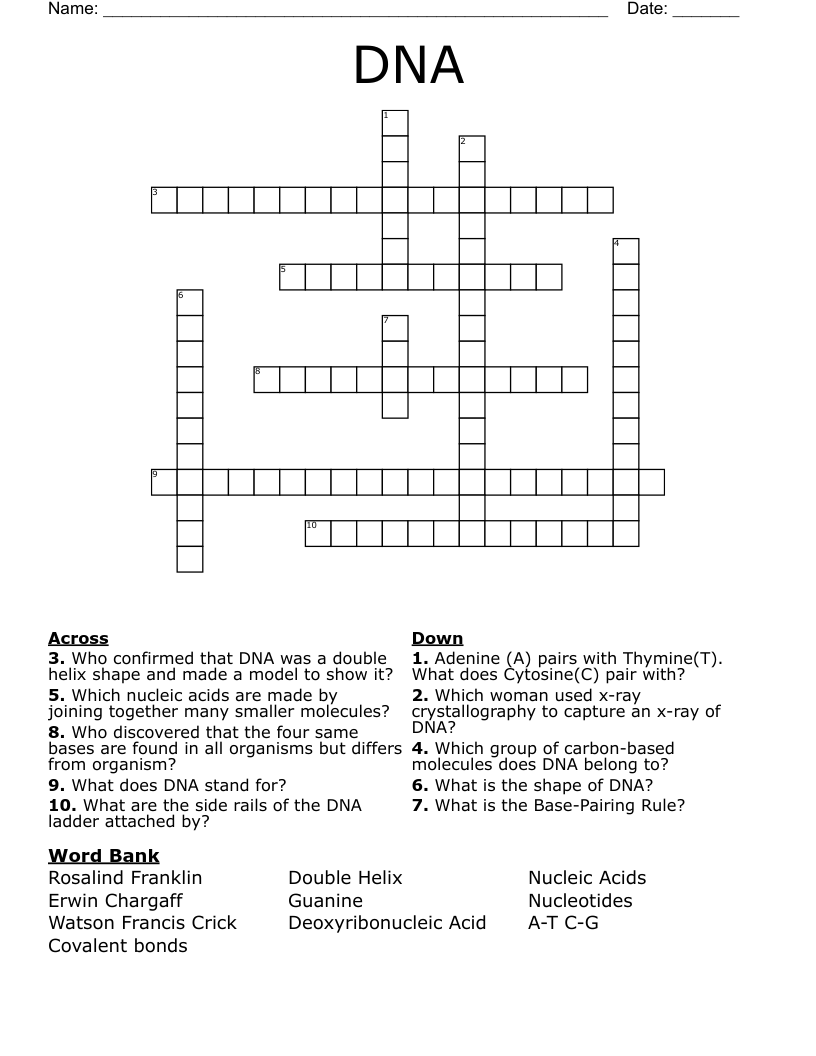 DNA Crossword WordMint