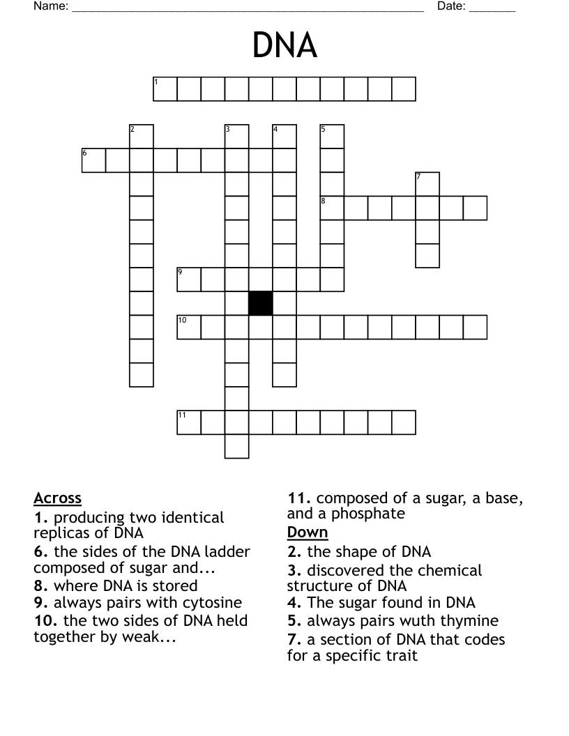 DNA Crossword WordMint
