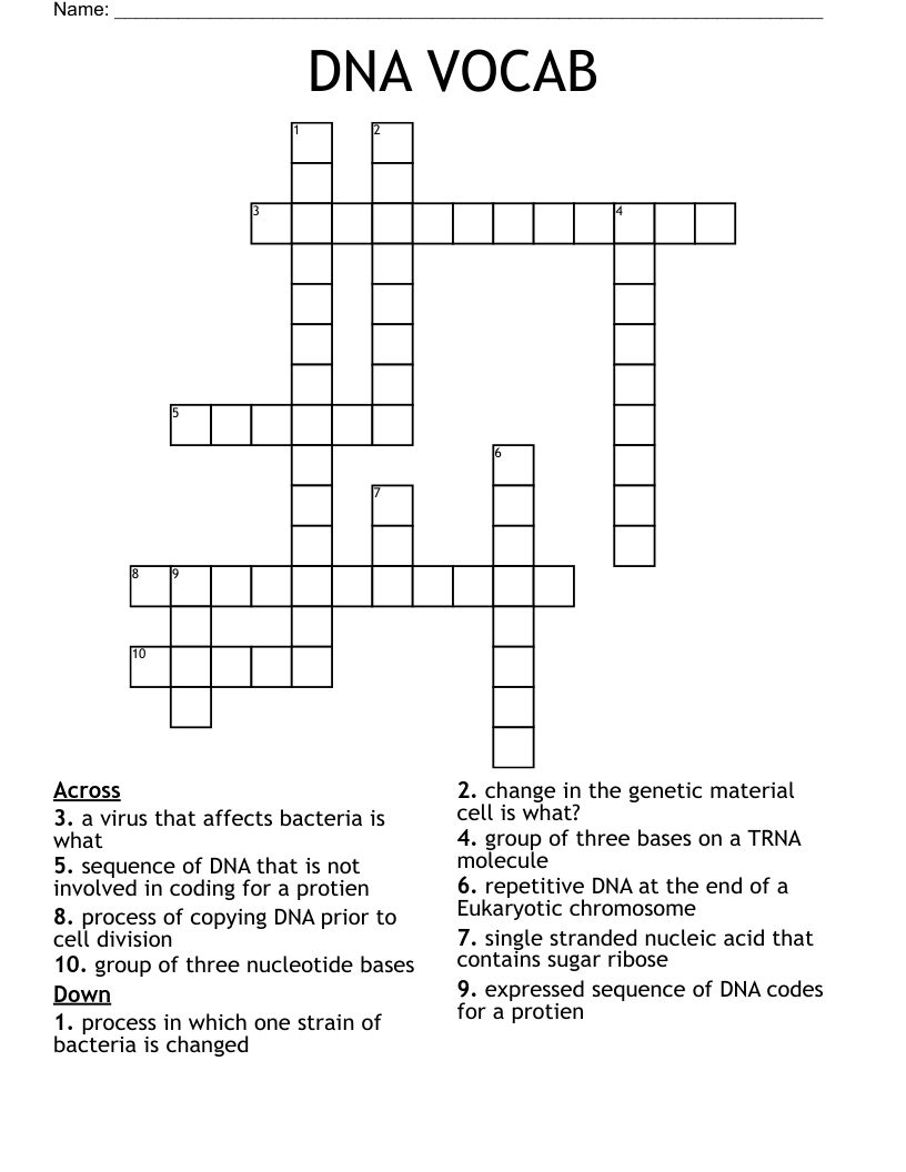 DNA VOCAB Crossword - WordMint