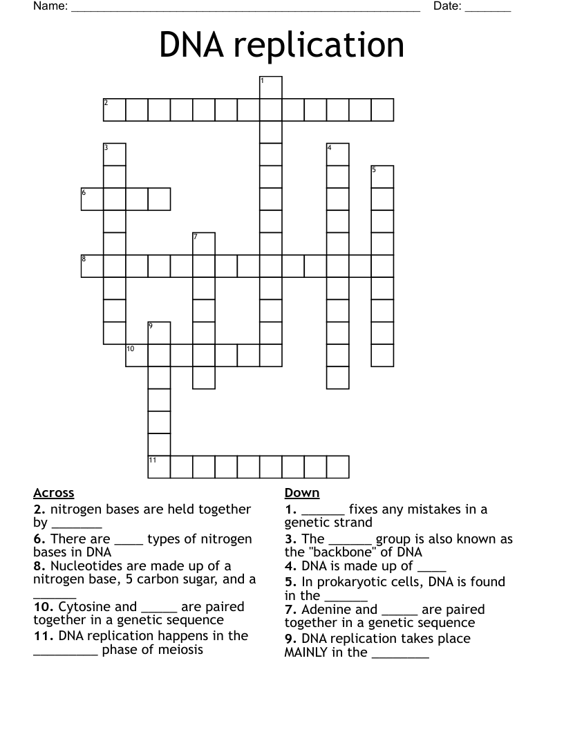 DNA replication Crossword WordMint