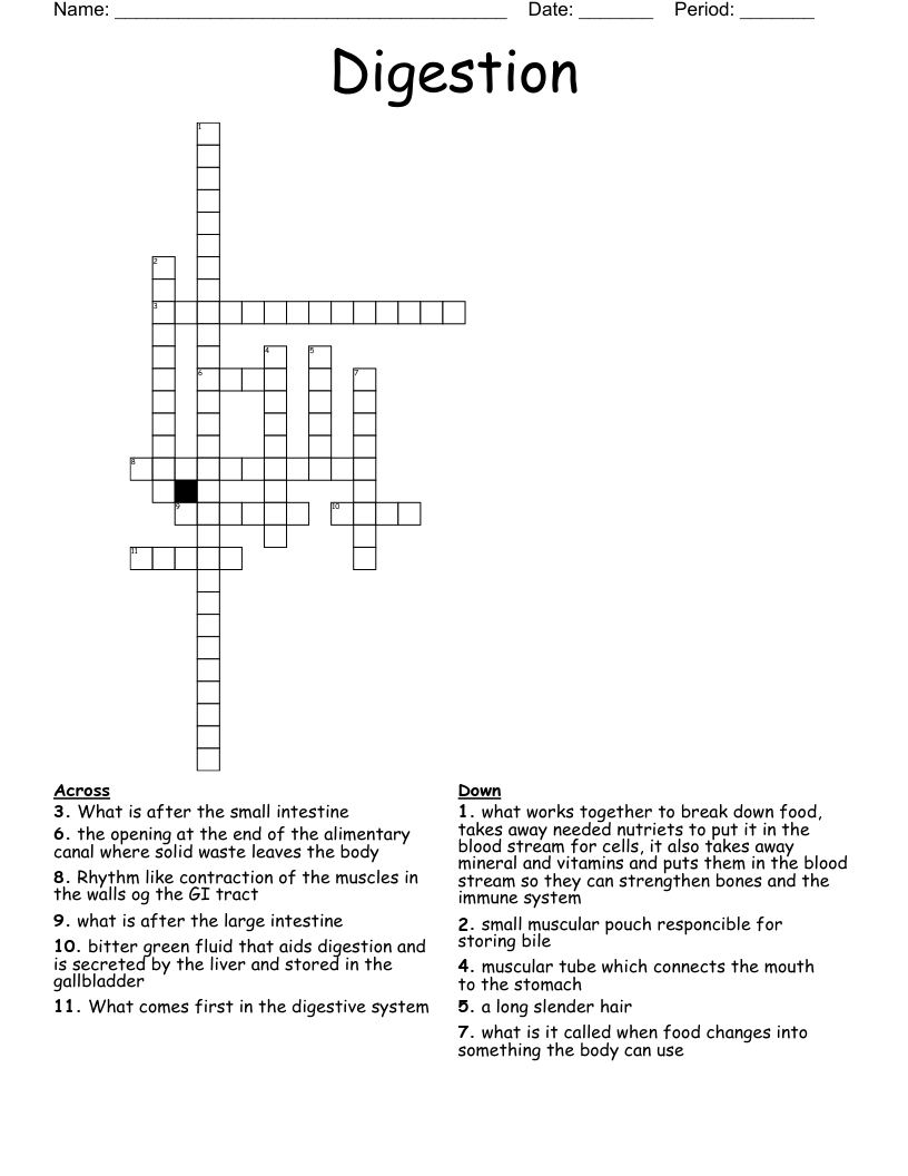 Digestion Crossword WordMint