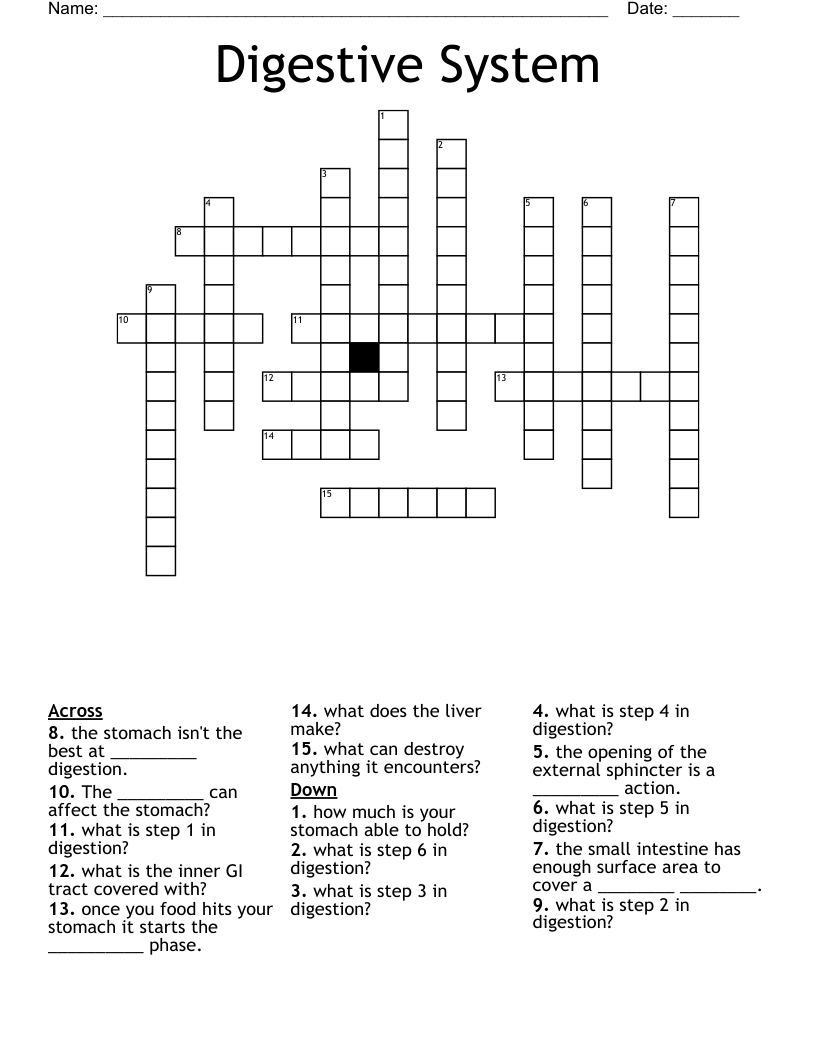Digestion Crossword WordMint