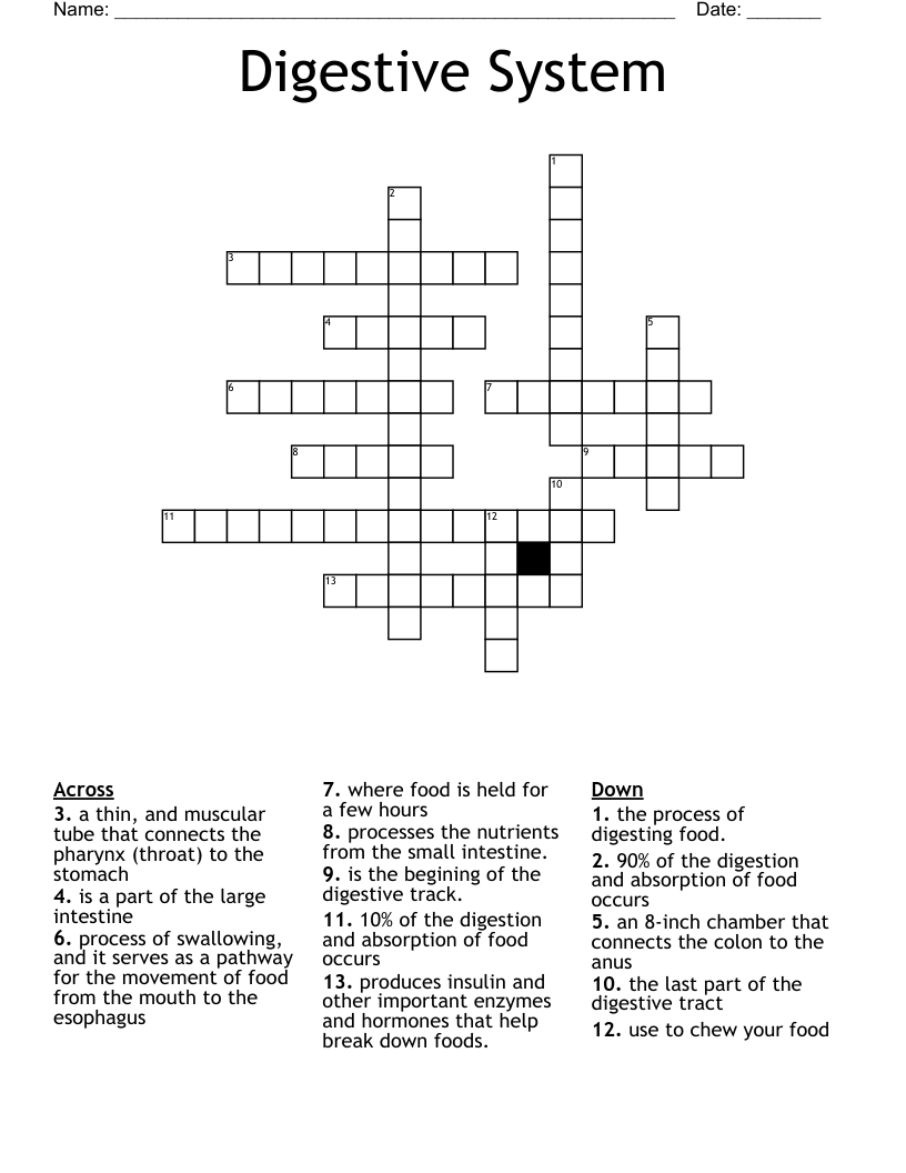 Digestive System Crossword - WordMint