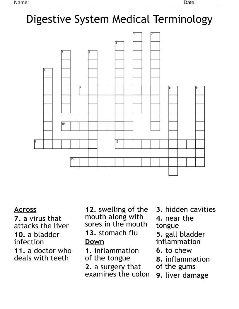 Digestive System Medical Terminology Crossword WordMint