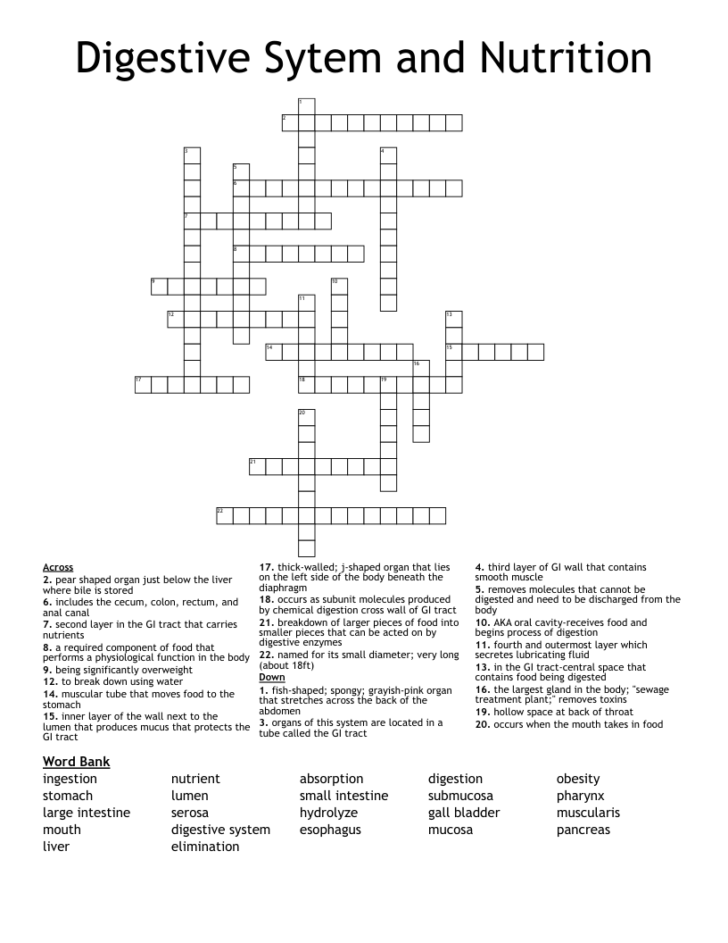 Digestion Crossword WordMint