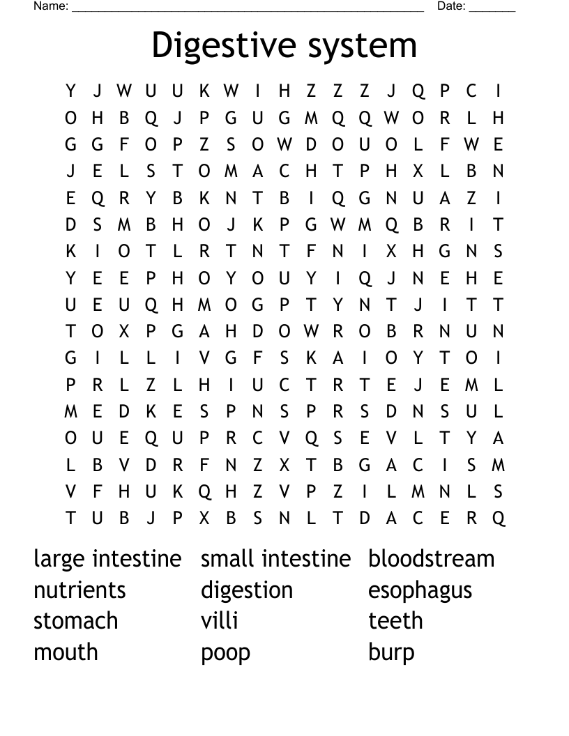 Digestive system Word Search WordMint