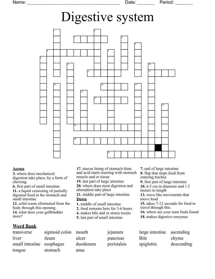 Digestive system Crossword - WordMint