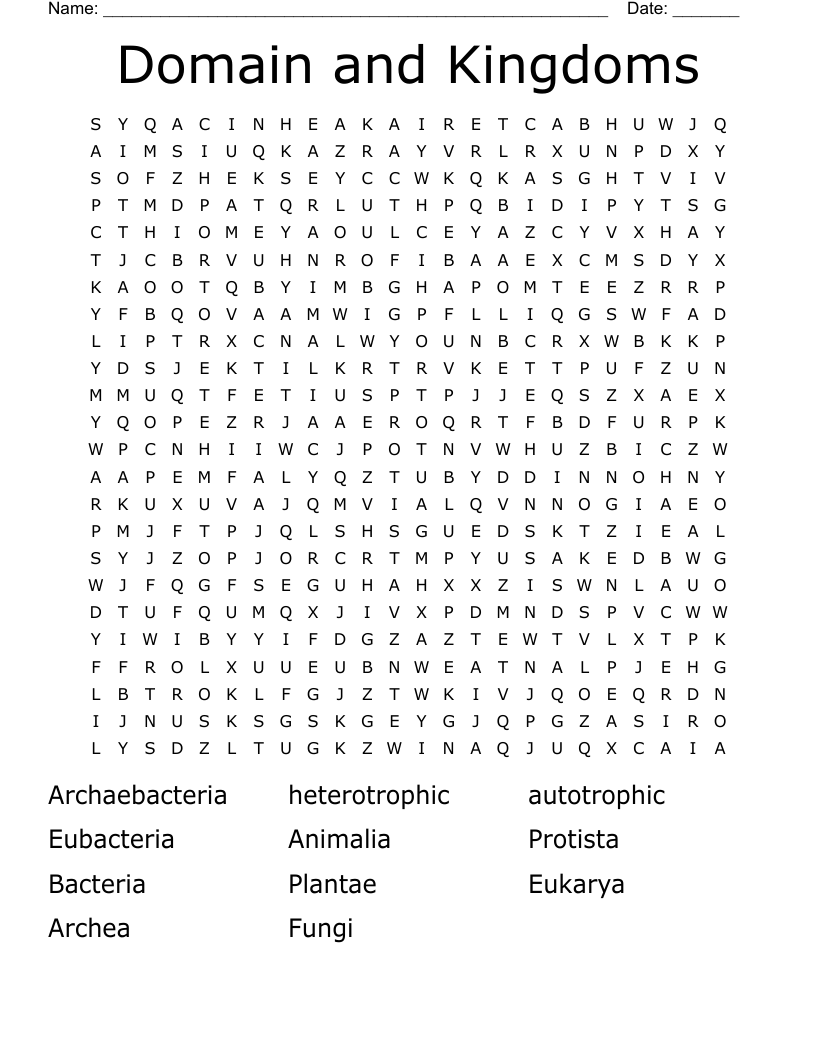 Domain and Kingdoms Word Search WordMint