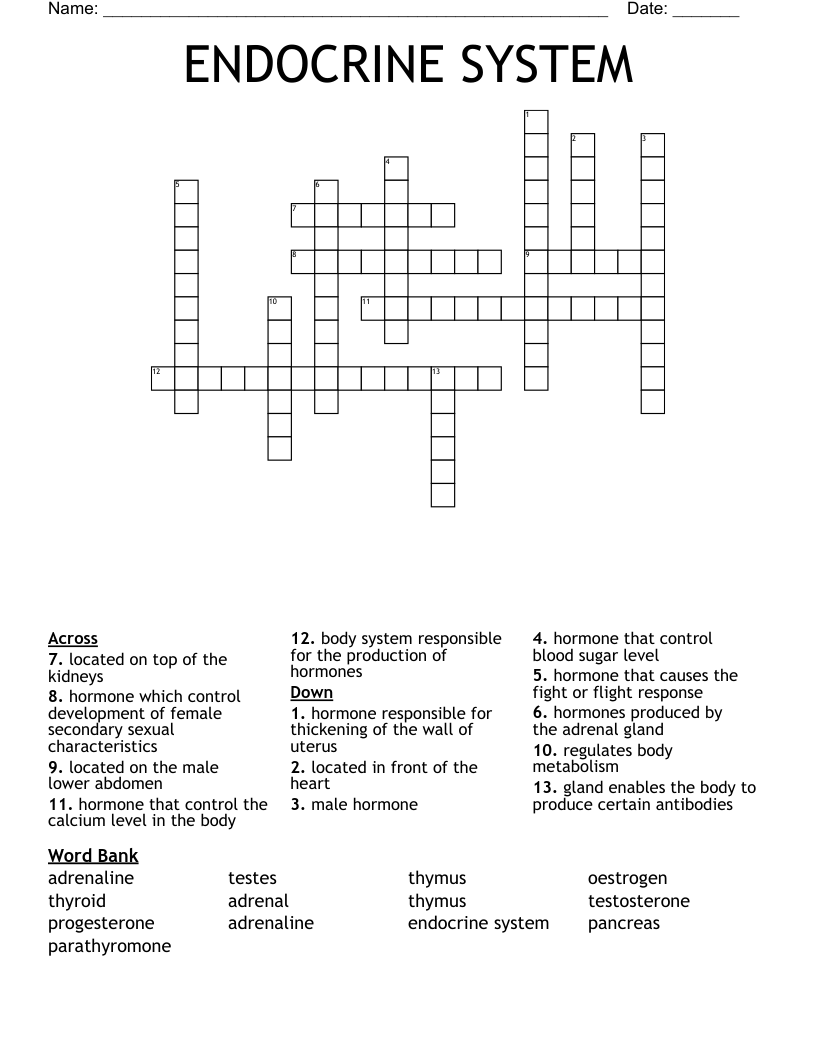 ENDOCRINE SYSTEM Crossword - WordMint