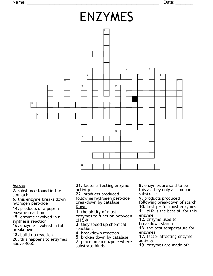 ENZYMES Crossword WordMint
