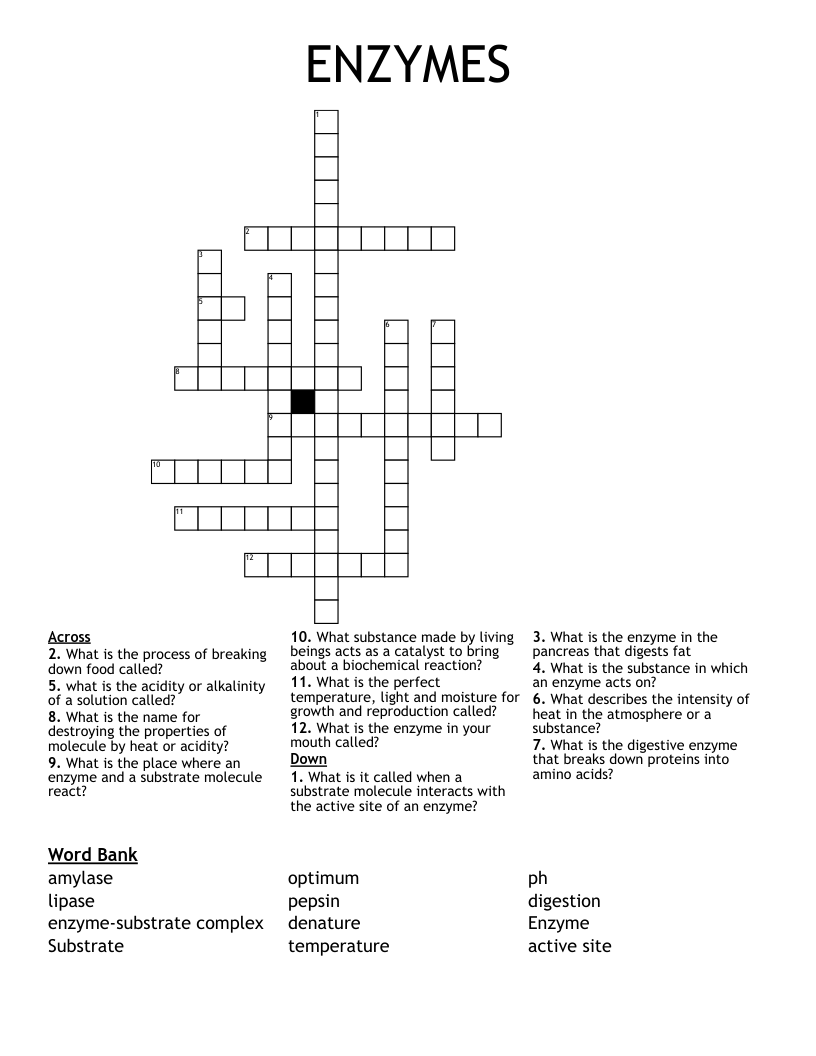 ENZYMES Crossword WordMint