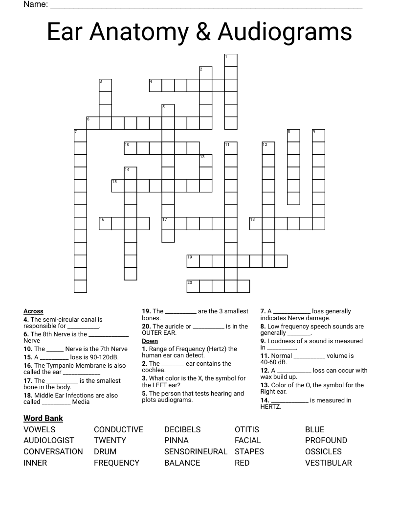 Ear Anatomy & Audiograms Crossword WordMint