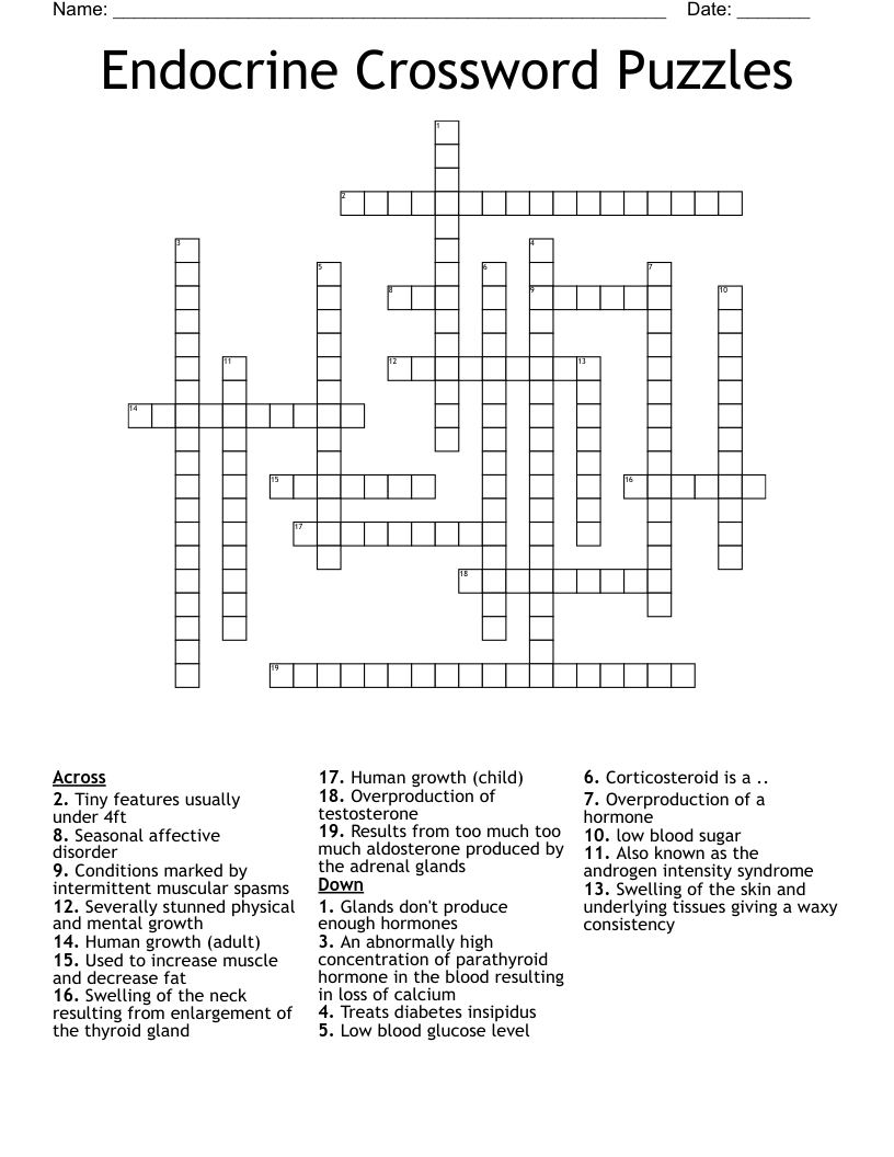 Endocrine Crossword Puzzles WordMint