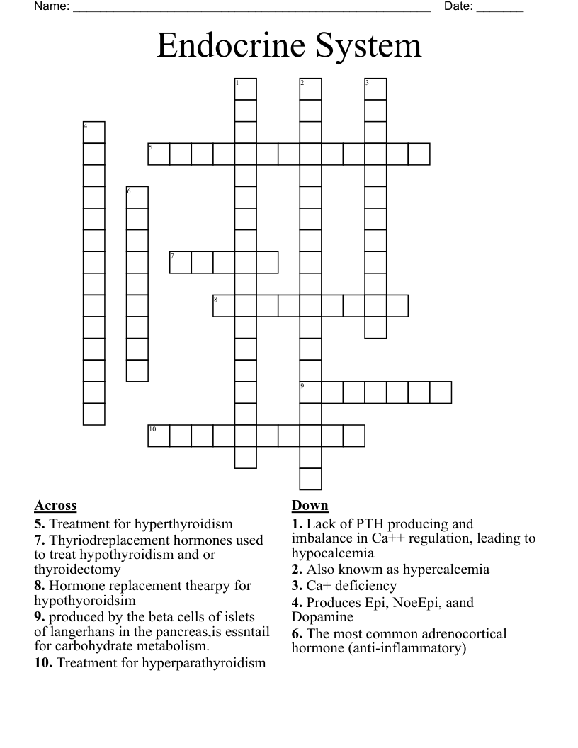 Endocrine System Crossword - WordMint