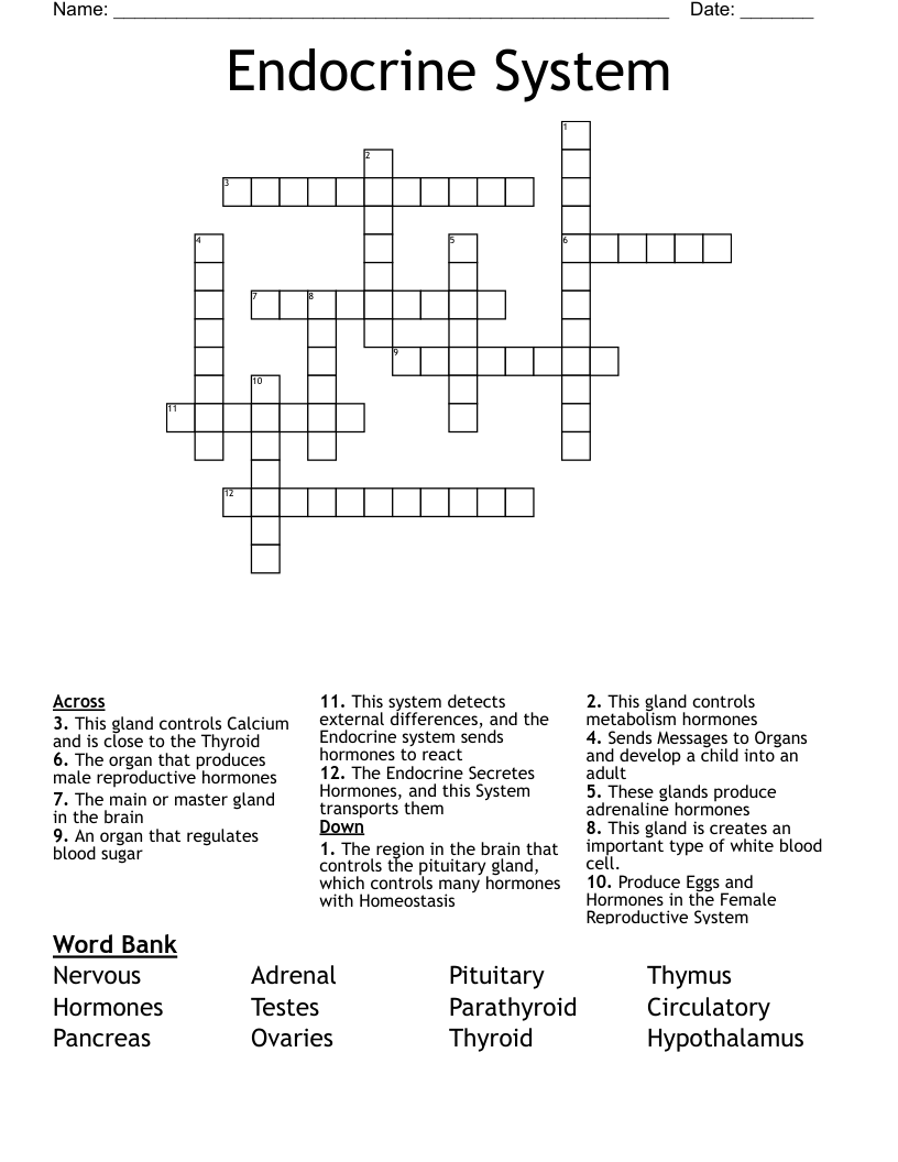 Endocrine System Crossword - WordMint