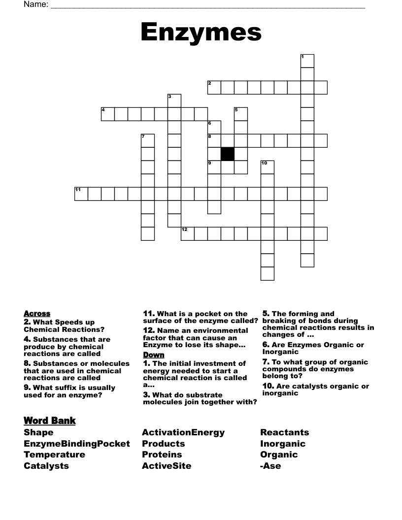 Enzymes Crossword WordMint
