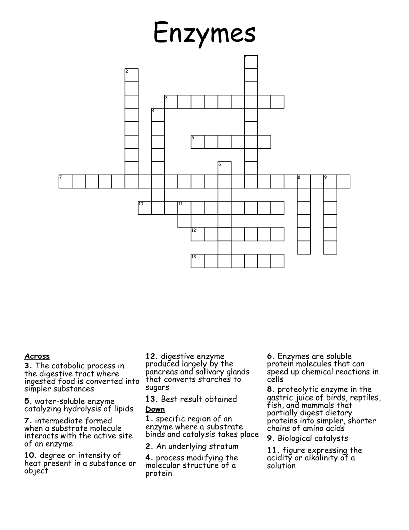 ENZYMES Crossword WordMint