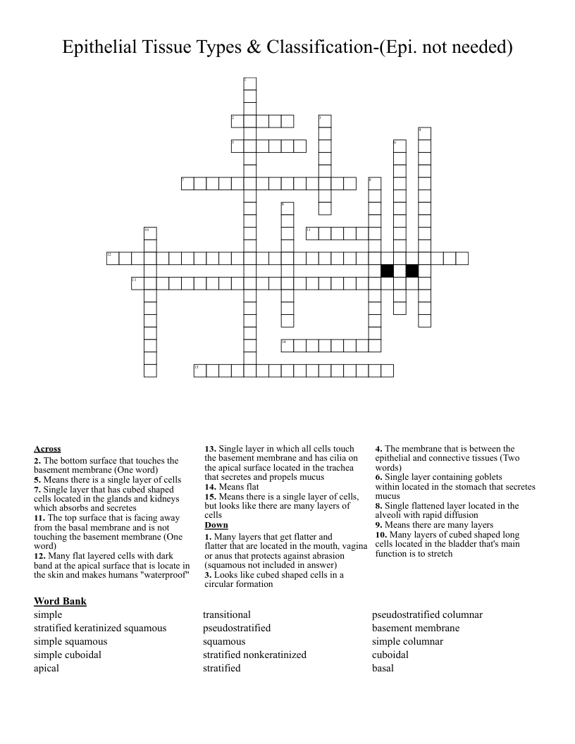 Classification Of Epithelial Tissue