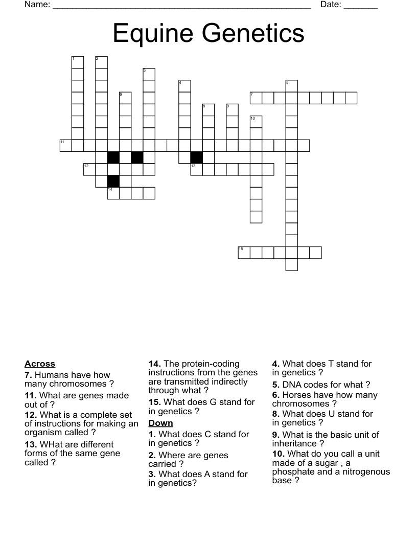 Equine Crossword WordMint
