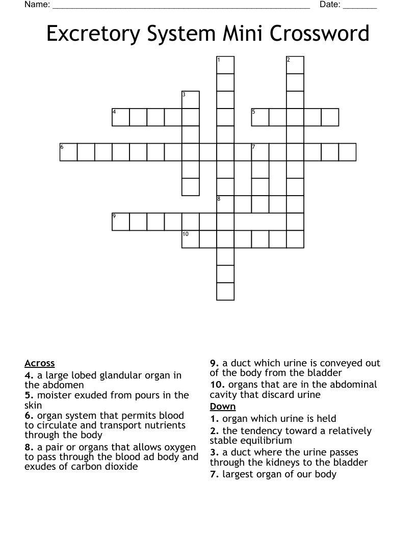 53 Mini Crossword Answers Daily Crossword Clue