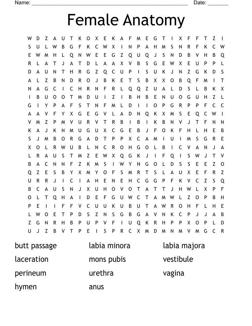 Female Anatomy Word Search WordMint