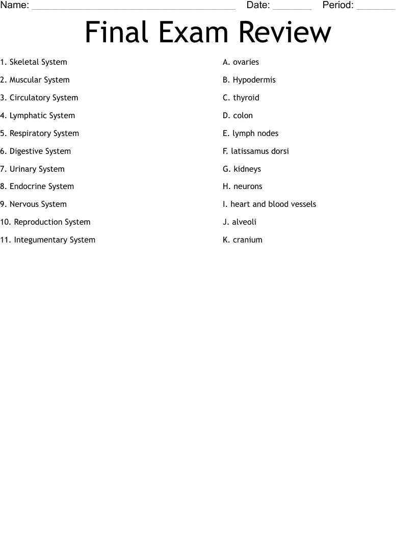 Final Exam Review Worksheet WordMint