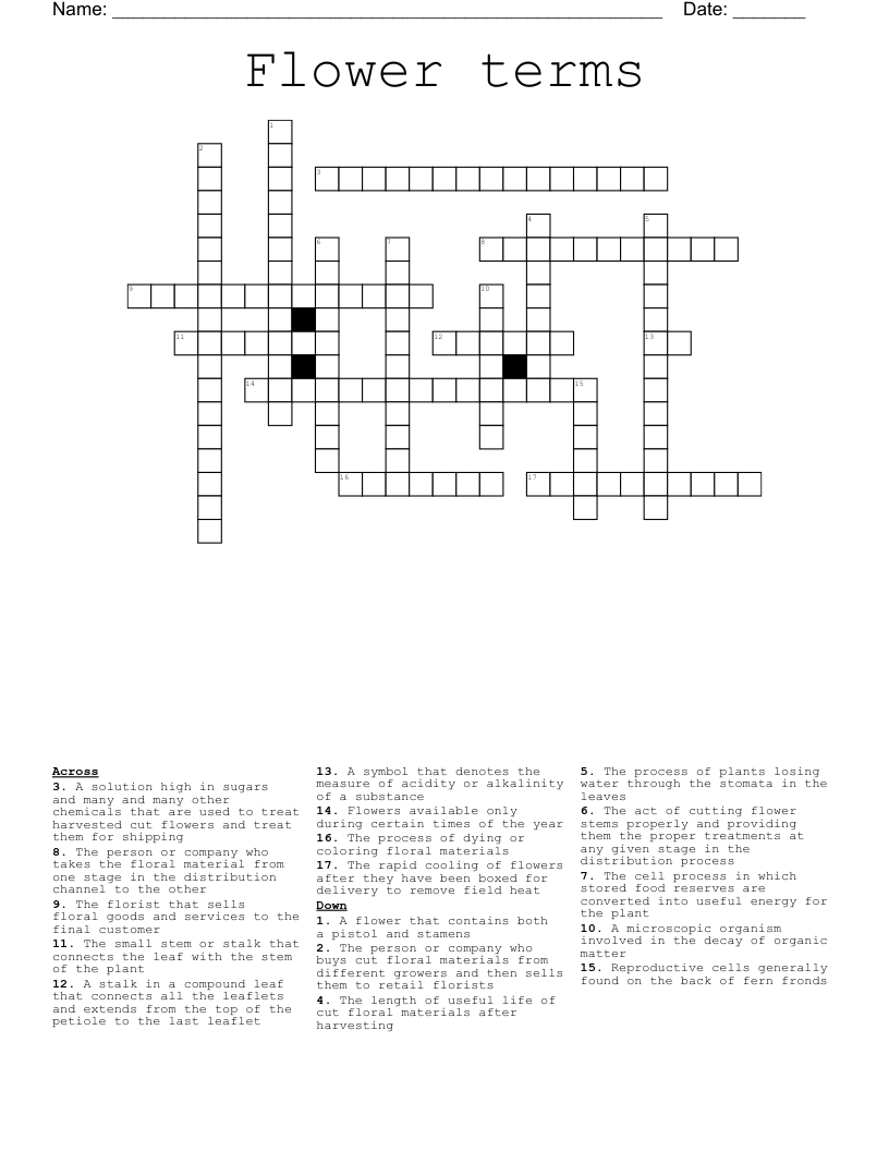 Flower terms Crossword WordMint