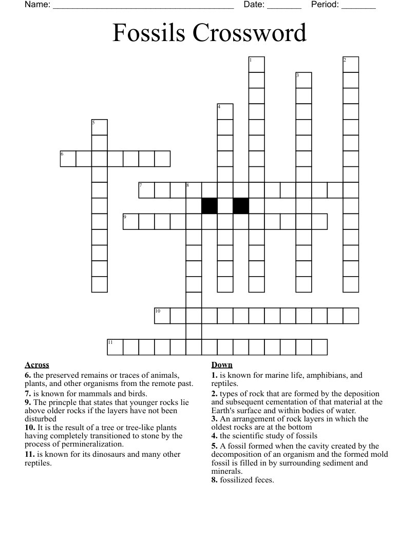 Fossils Crossword WordMint
