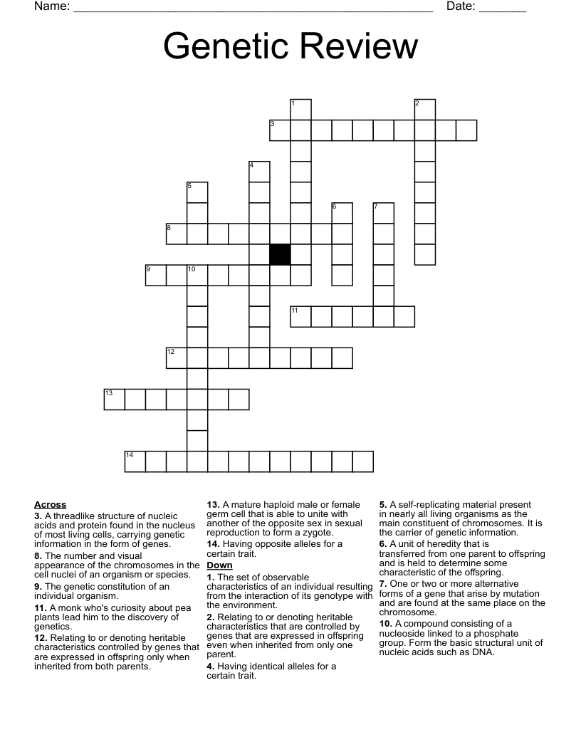 Review Crossword WordMint