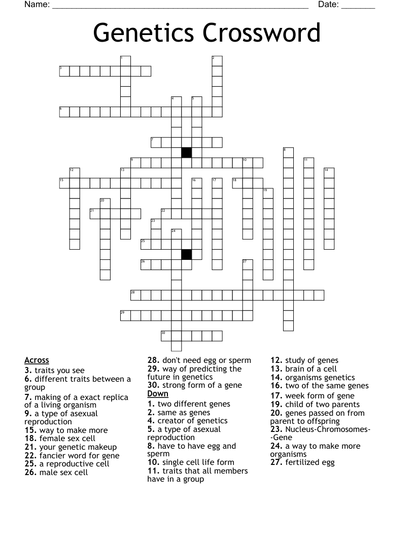 Crossword WordMint
