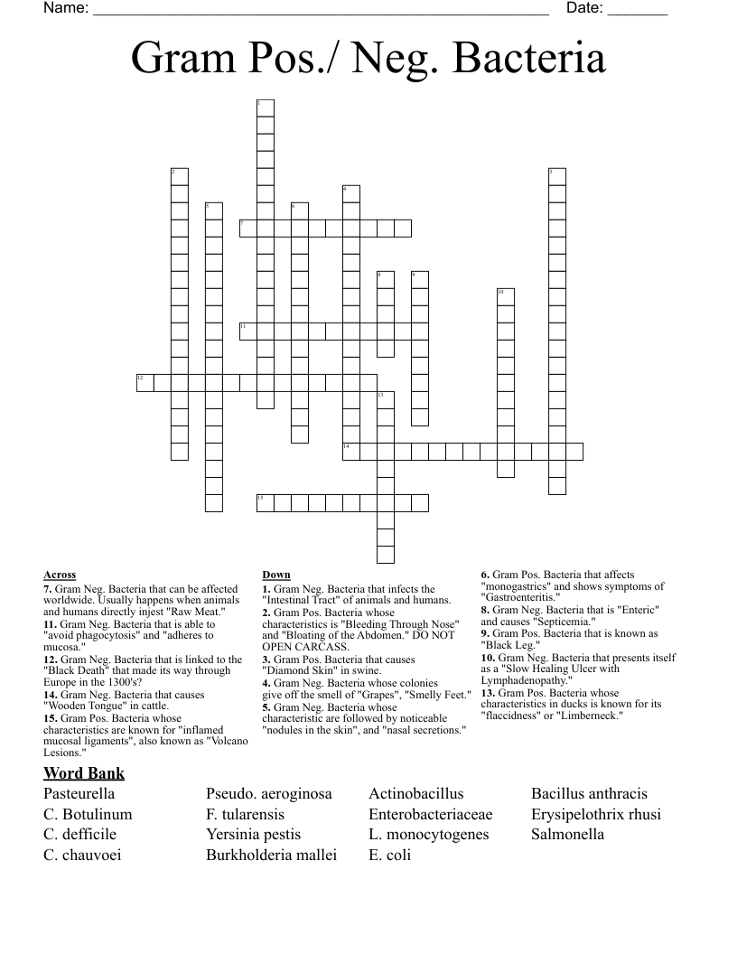 Gram Pos./ Neg. Bacteria Crossword WordMint