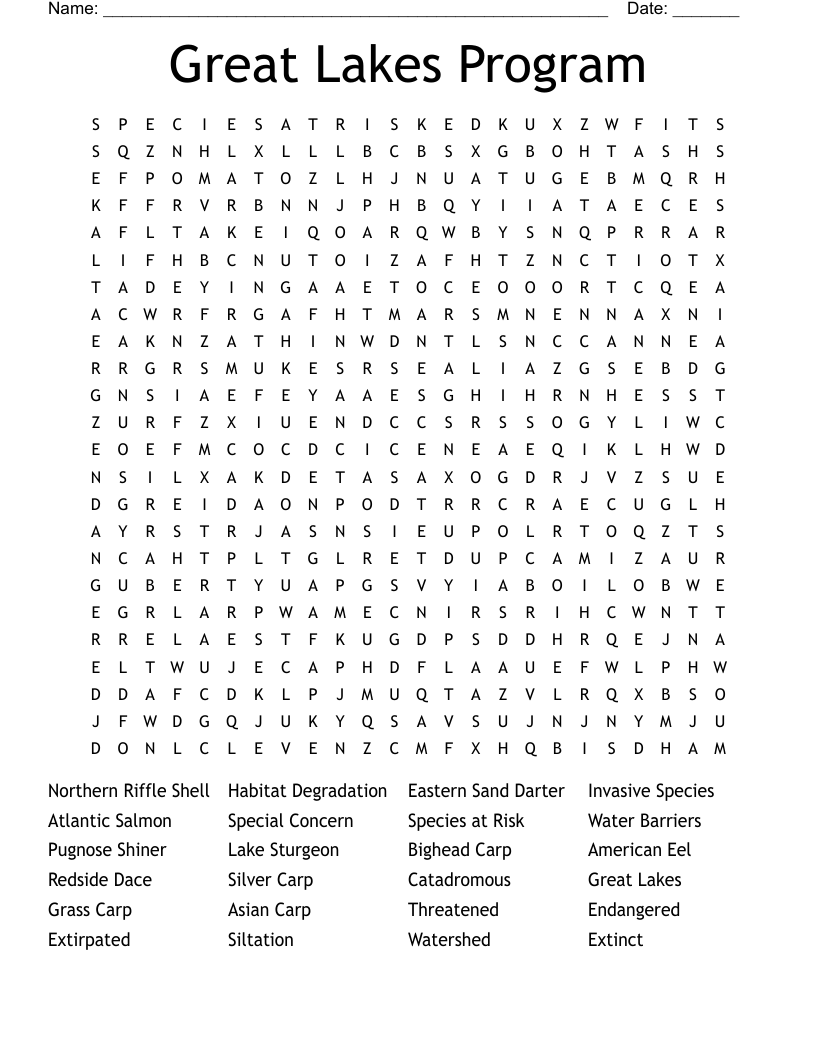 Great Lakes Program Word Search WordMint