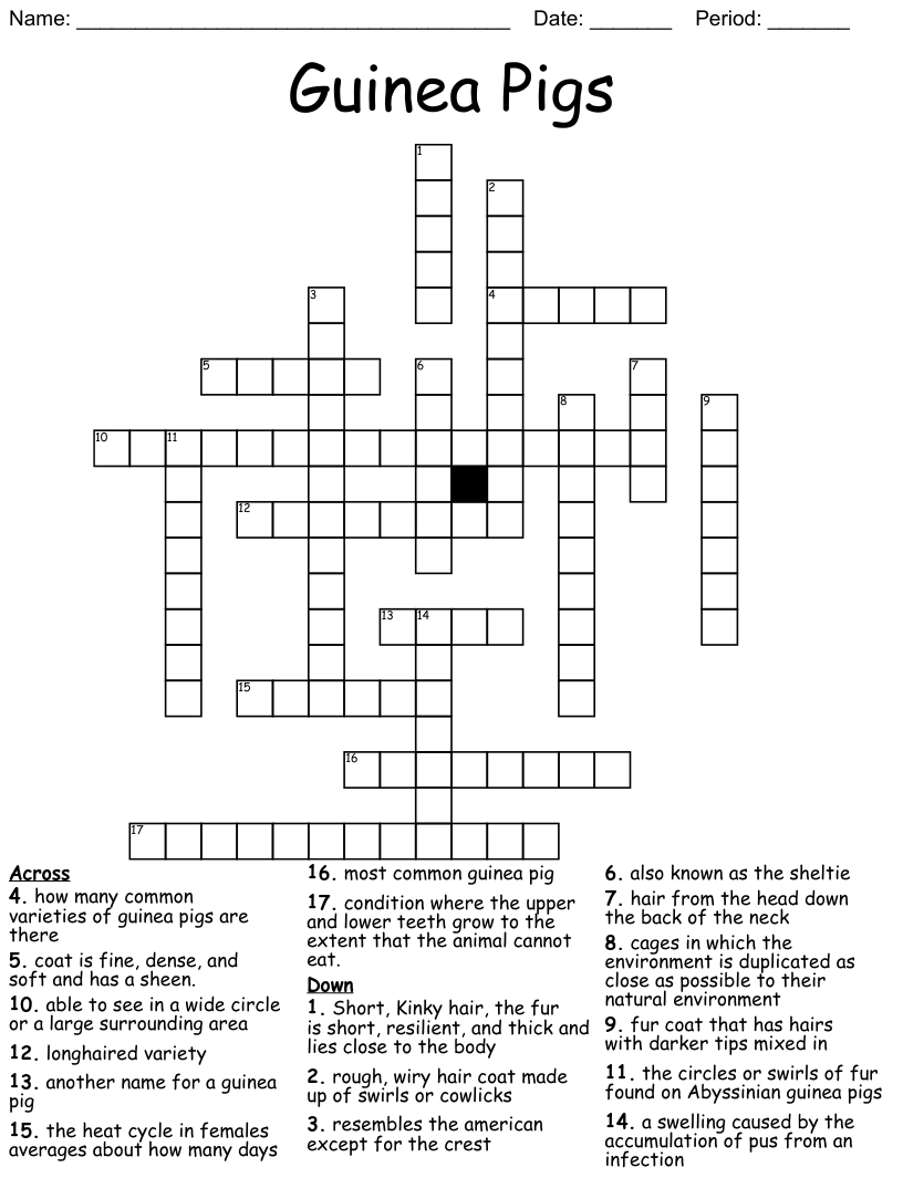 Guinea Pigs Word Search WordMint