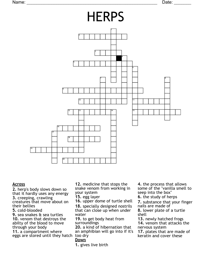 Amphibians and Reptiles Crossword WordMint