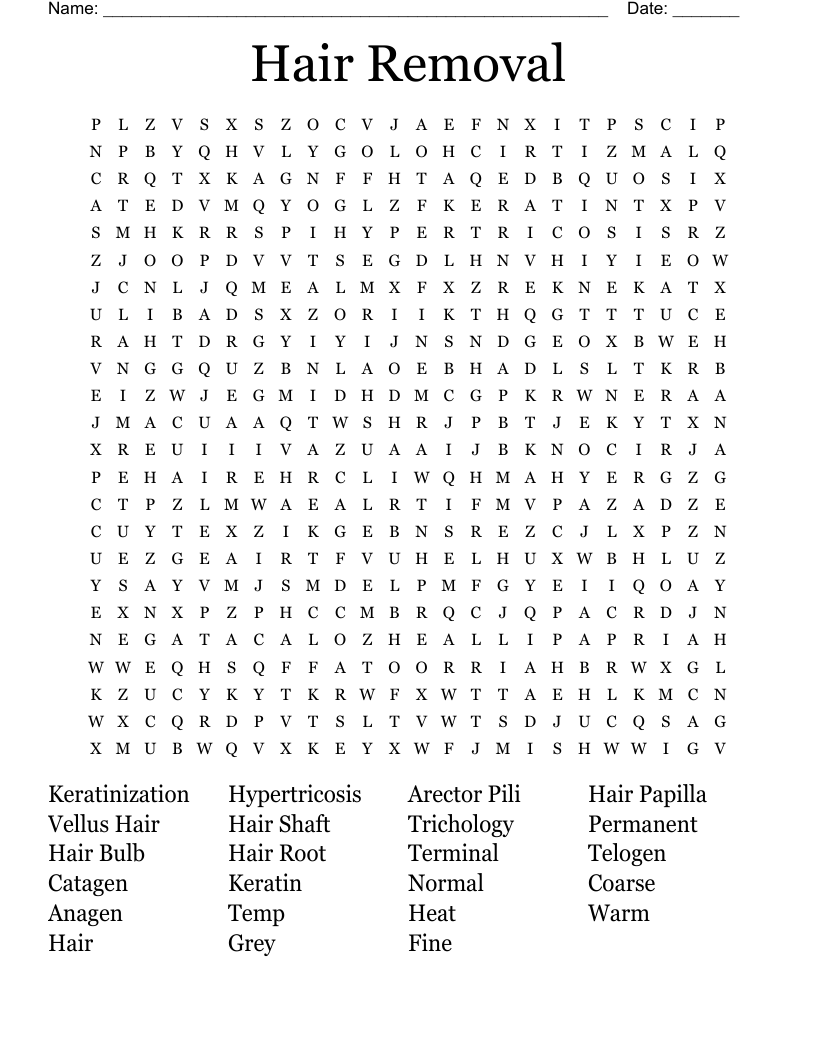 Hair Theory Worksheet WordMint