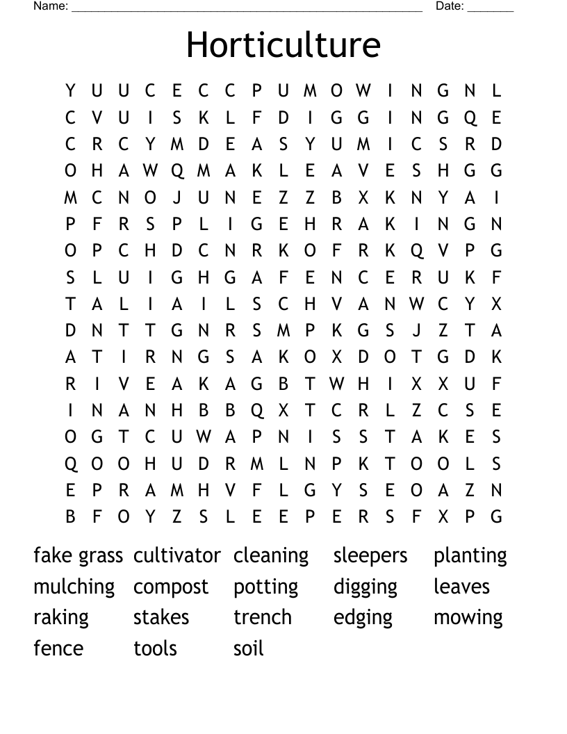 Excavation Word Search WordMint