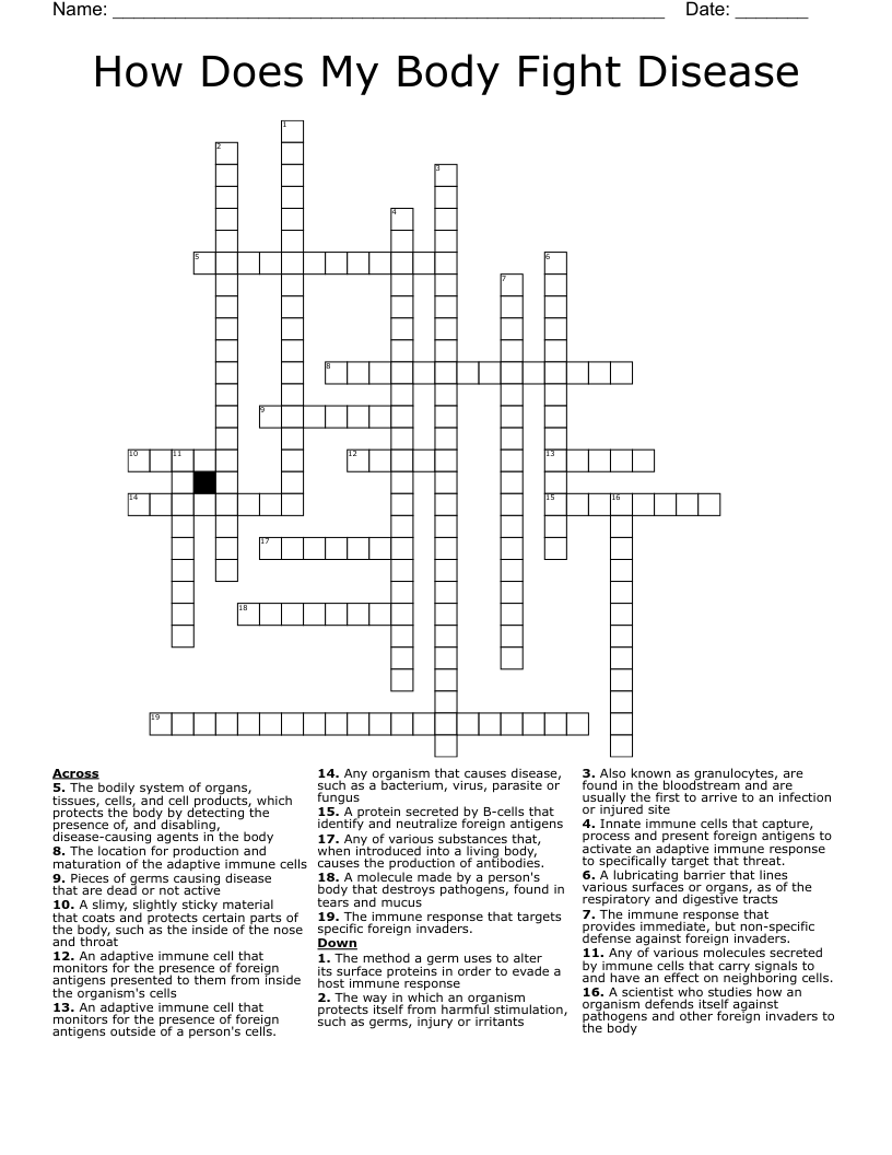 How Does My Body Fight Disease Crossword WordMint