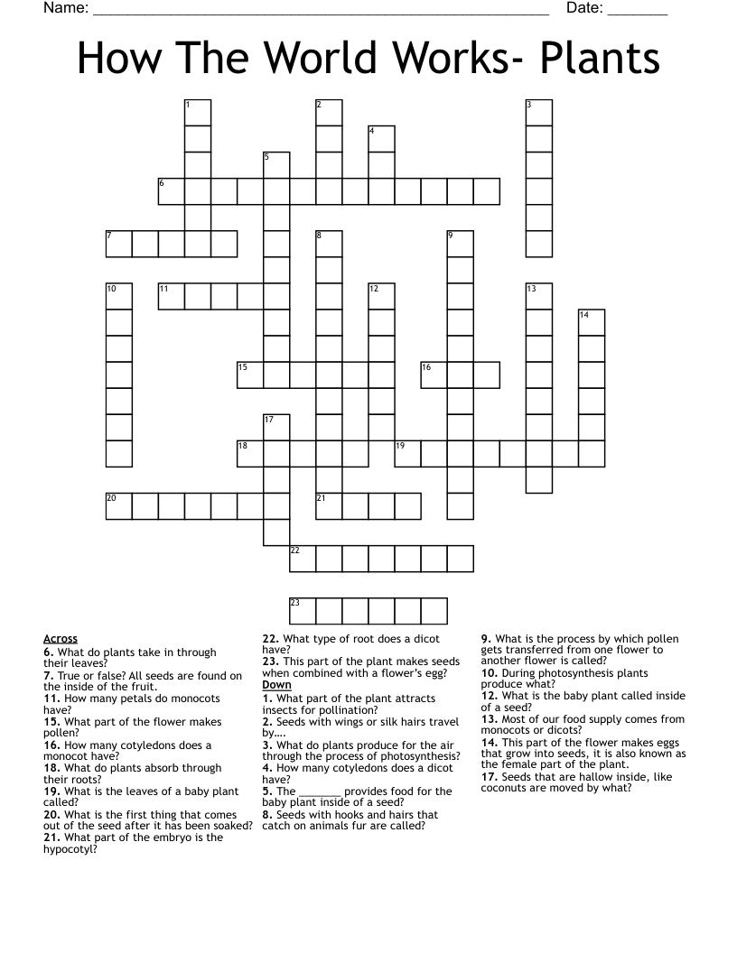 How The World Works Plants Crossword WordMint