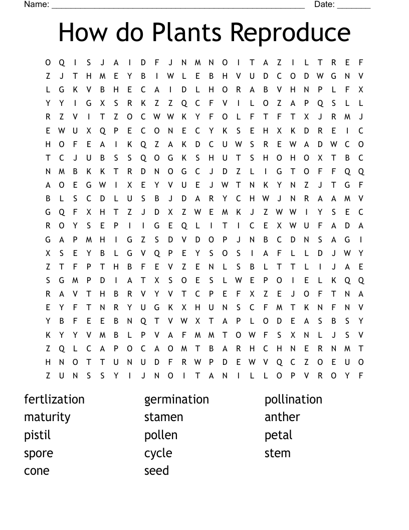 How do Plants Reproduce Word Search WordMint