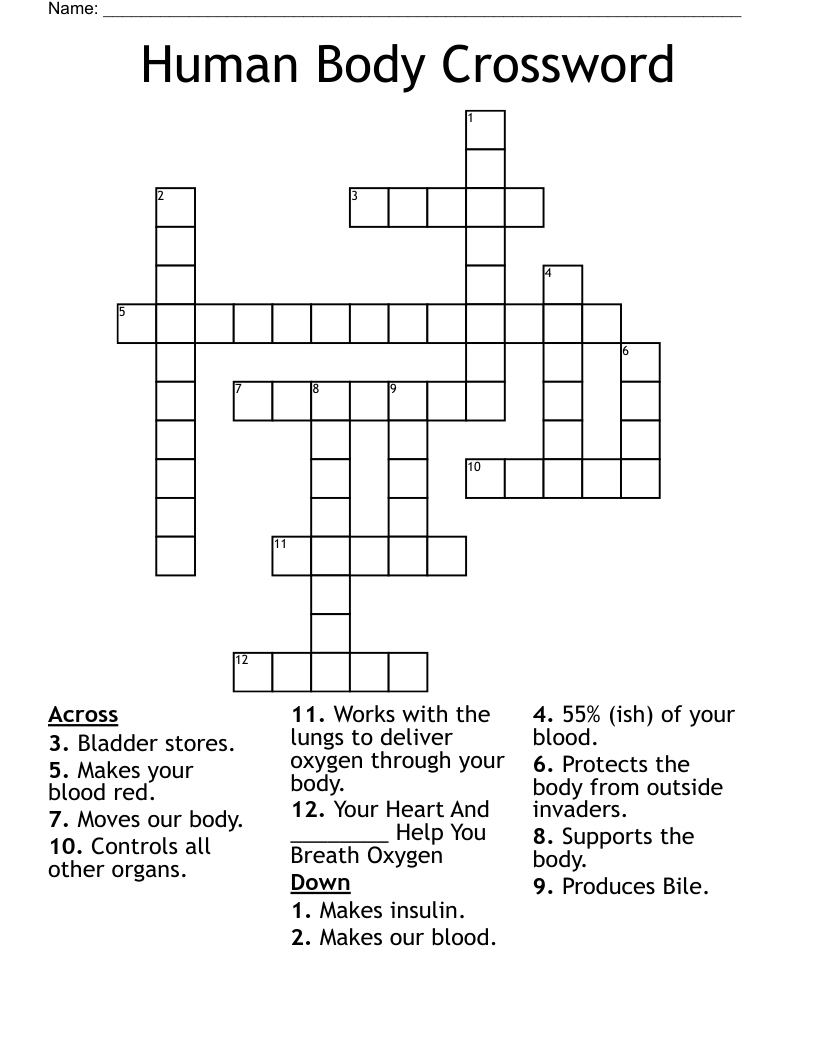 Human Body Crossword WordMint
