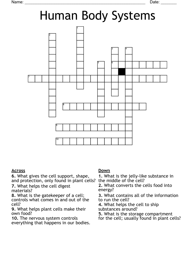 Human Body Systems Crossword WordMint