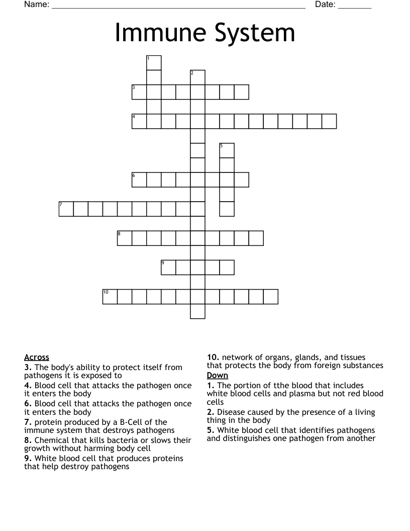 Immune System Crossword WordMint