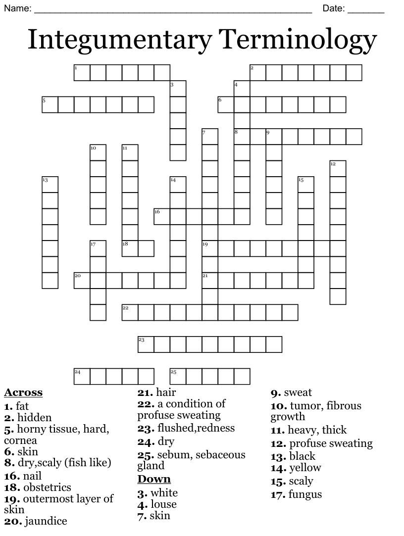 Med Term Chpt 3 (Integumentary) Word Parts Word Search WordMint