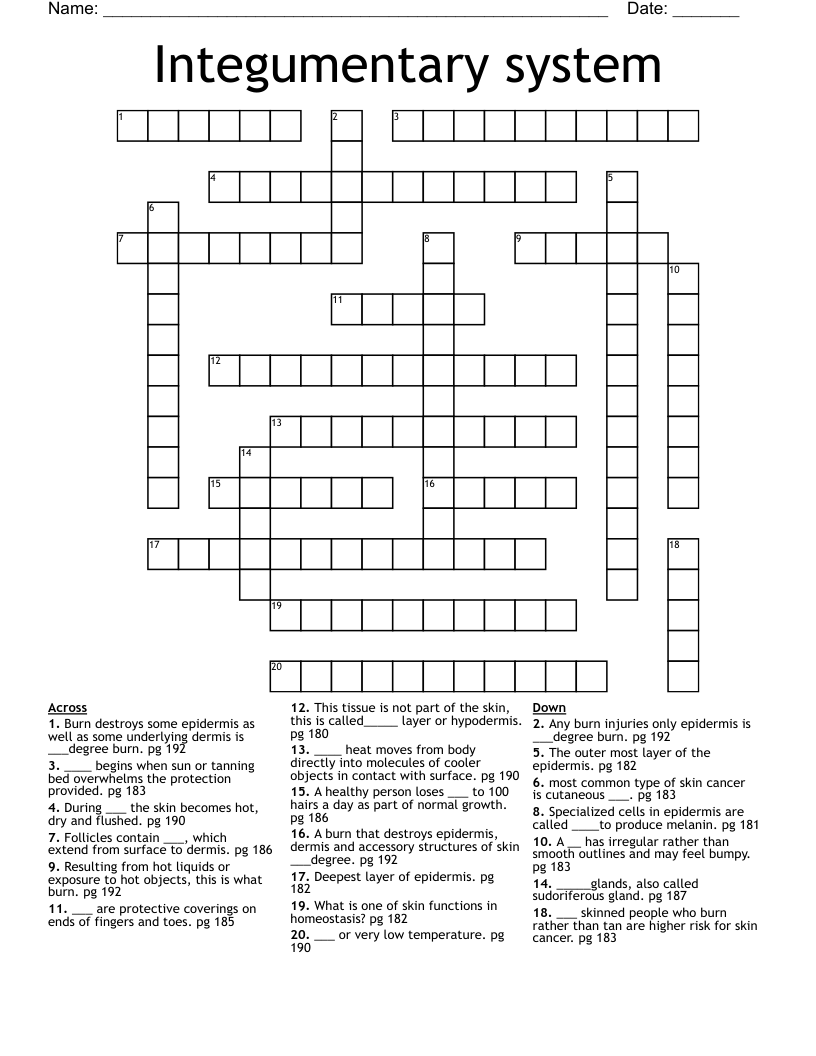 Integumentary system Crossword WordMint