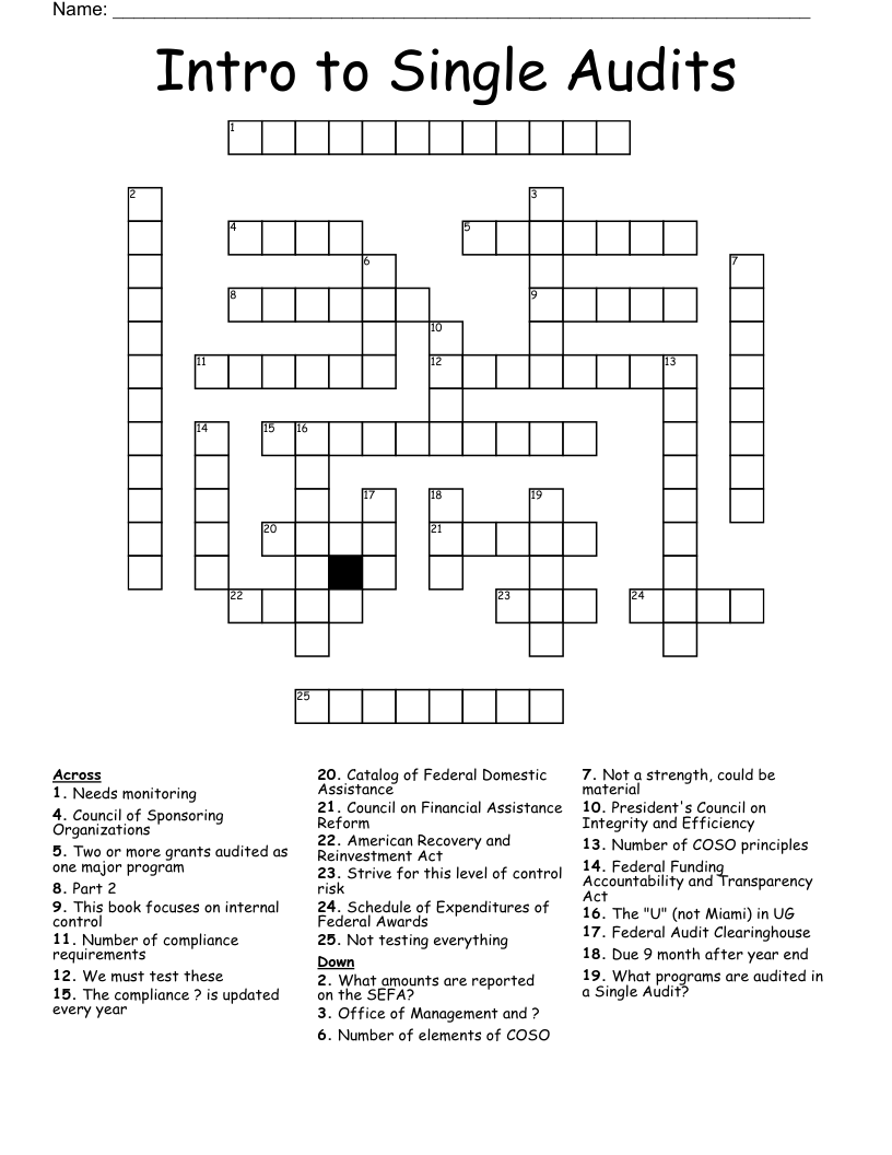 Intro to Single Audits Crossword WordMint